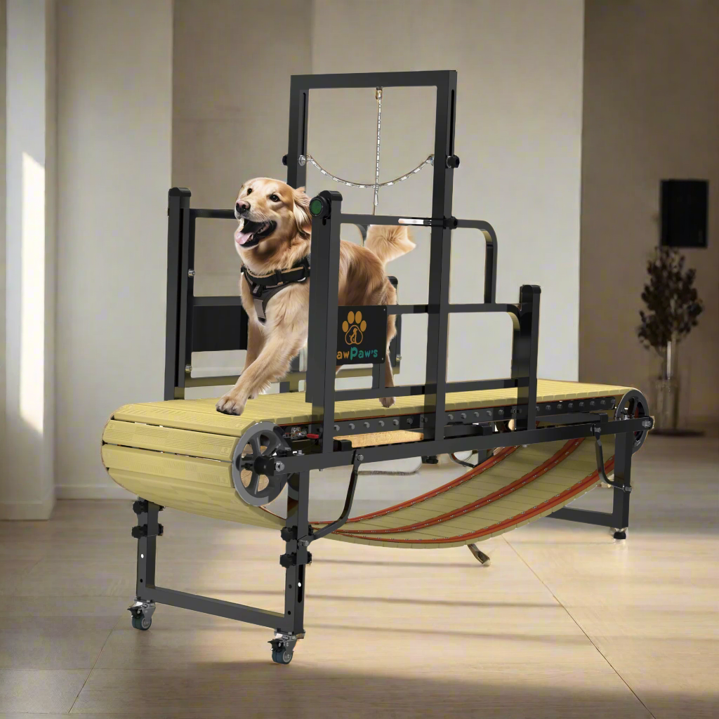 Dog Running Machine Petsite Pet Treadmill Dog Exercise Wheel
