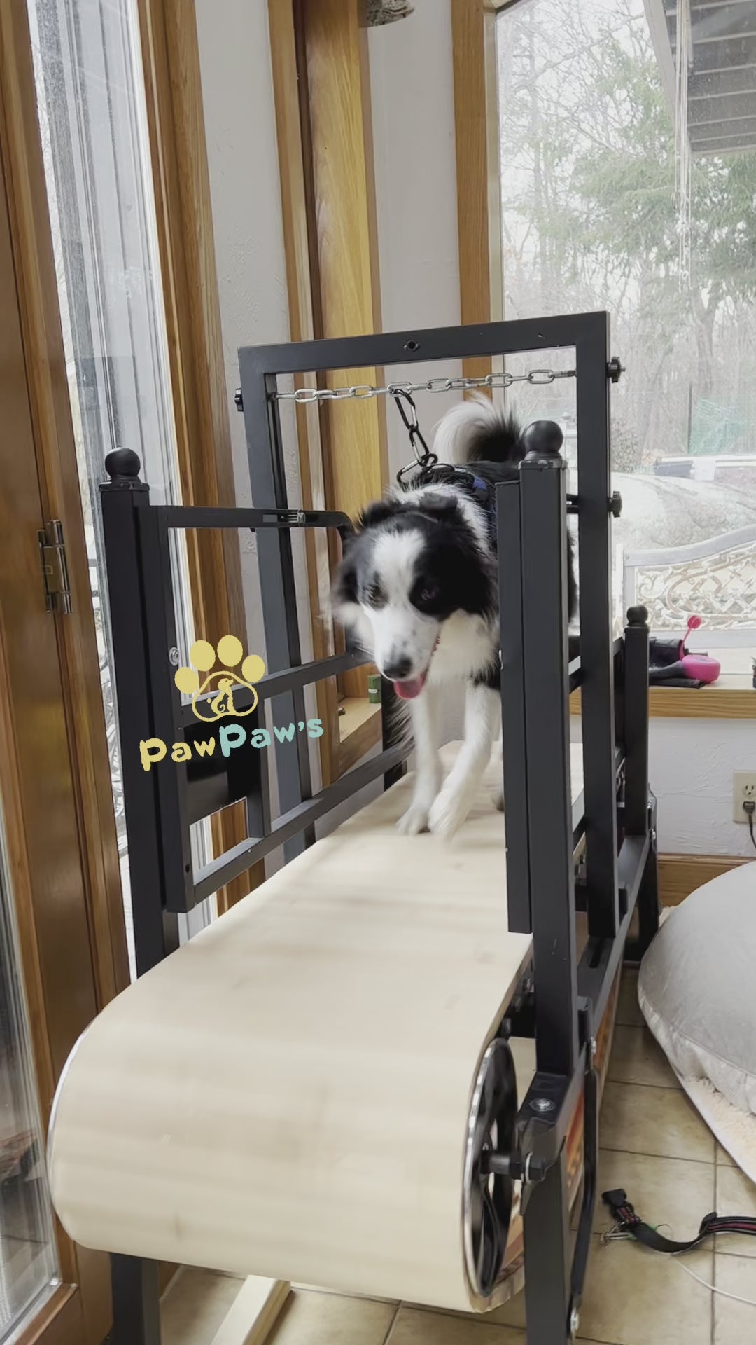 Pawpaw’s Dog Treadmill for Large Dogs, Medium Dogs up to 220 lb